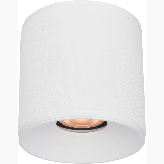Artdelight Plafondlamp Costa Ø 10,5 cm GU10 wit