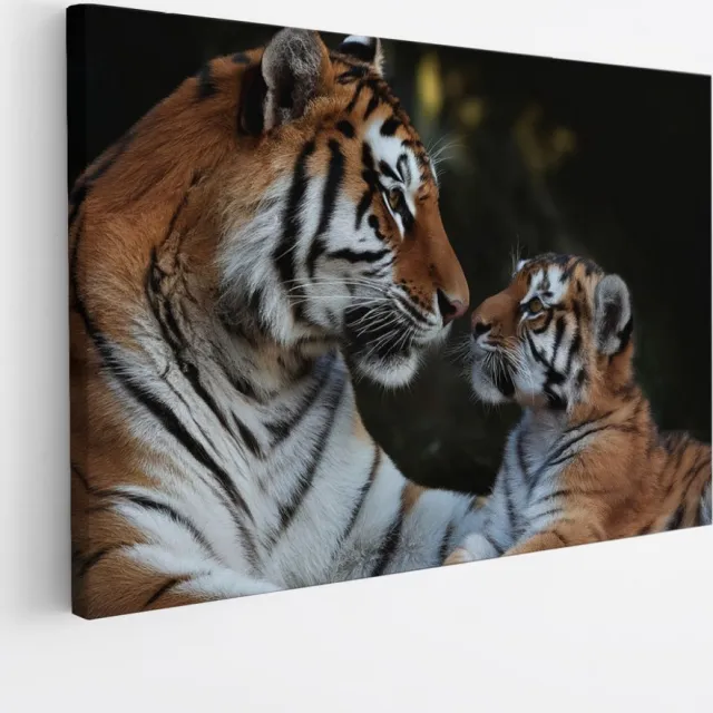 Saammp Canvas Schilderij - Tijger met welp - Natuur - Dieren - 40x30 - Foto op canvas - Wanddecoratie - muurdecoratie Woonkamer - Slaapkamer decoratie - Canvas Print Multicolor