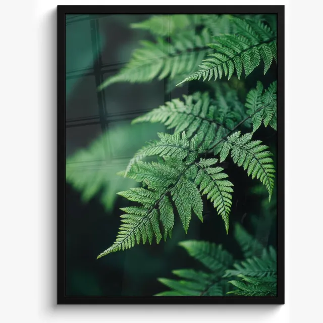 FrameYourWall Poster in lijst - Fotolijst 60x80 cm - Posters - Varenblad - Groen - Structuur - Wazig - Posterlijst zwart - Decoratie - Wanddecoratie woonkamer - Muurdecoratie slaapkamer
