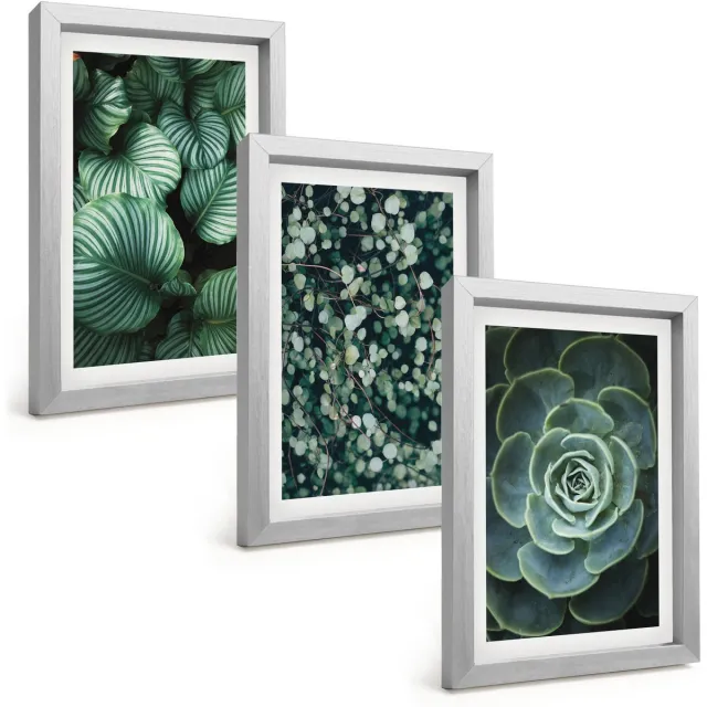 TULUP 4-Delige Schilderij Set - Groene bladplanten en stijlvolle vetplanten - 20 x 30 cm - Decoratieve Schilderijen - Woonkamer - Interieur - Muurdecoratie Zilveren lijst
