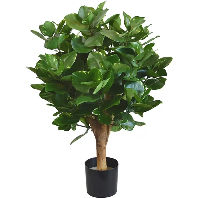 maxifleur Kunstplanten Clusia bol kunstplant 55cm Groen
