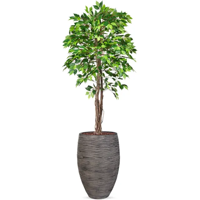HTT Decorations Kunstplant Ficus groen in vaas elegant Rib antraciet H230 cm