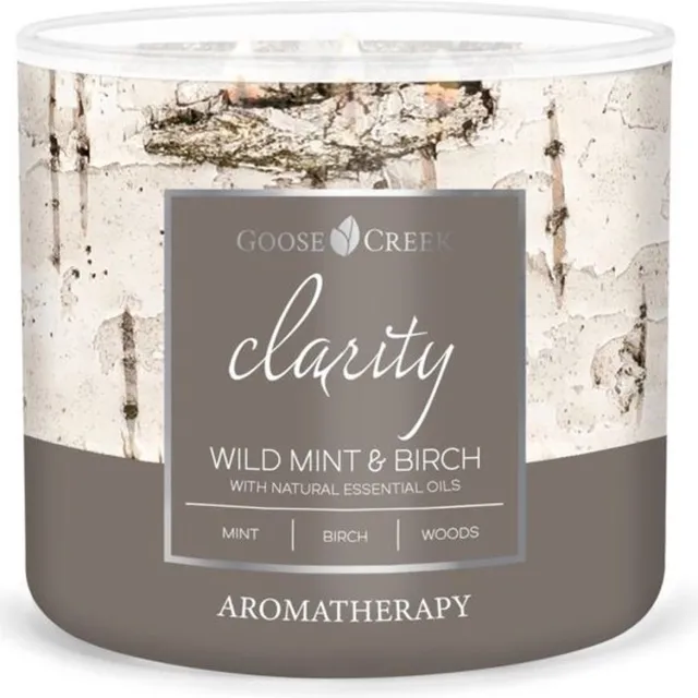 Wild Mint & Birch Goose Creek Candle 411 grams Aromatherapy