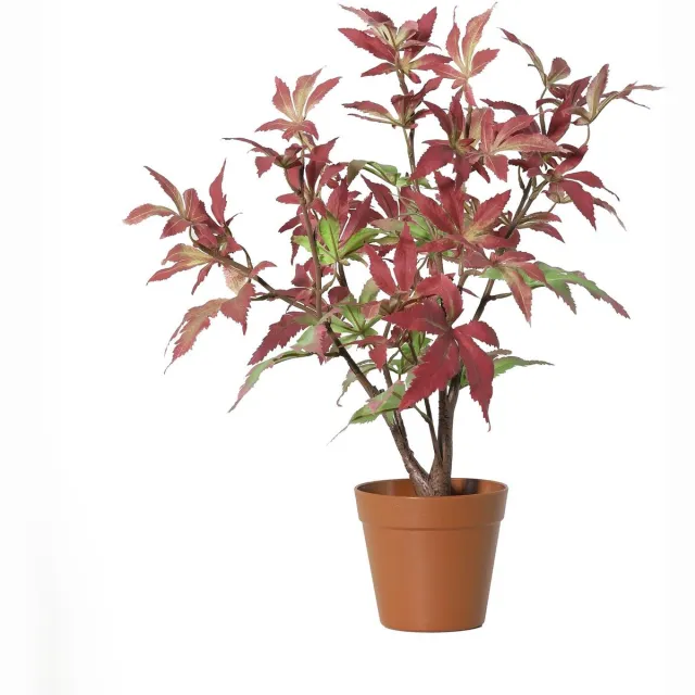 Florafy Kunstplant Esdoorn 53cm - Kunstplanten voor binnen - Onderhoudsvrij Groen
