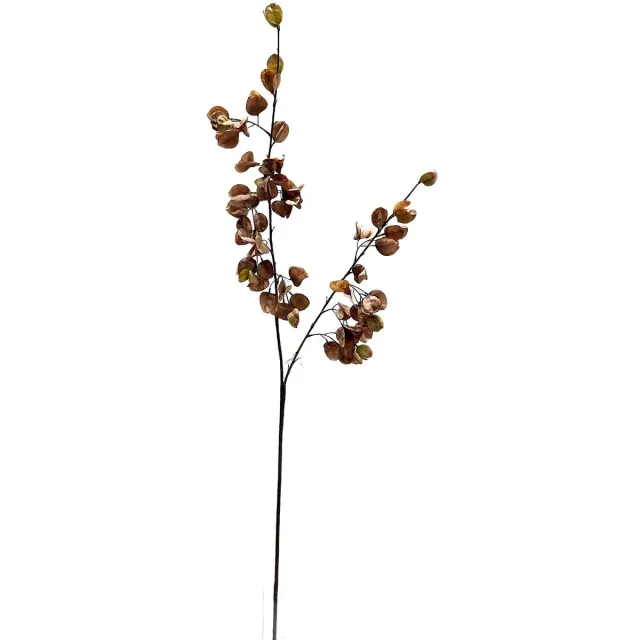 homebound by ky Kunst bloesemtak Koelreuteria 122cm taupe