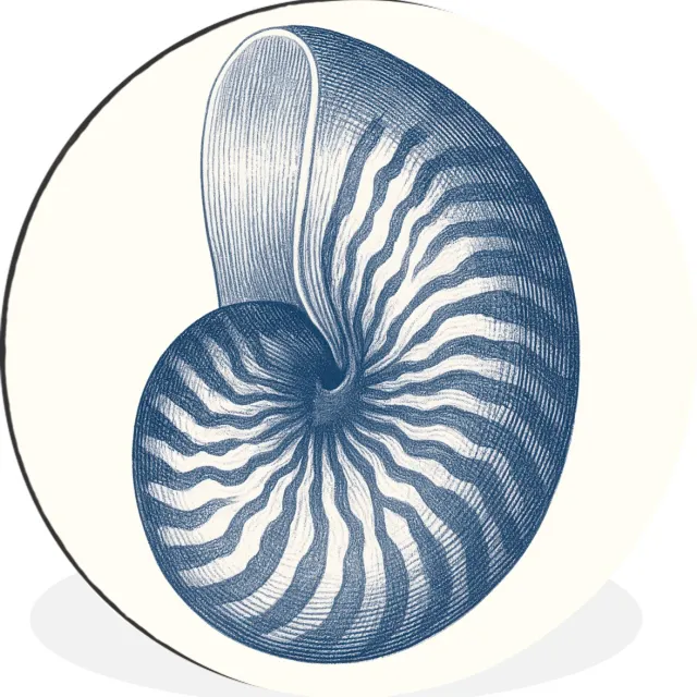 WallCircle Wandcirkel - Muurcirkel - Blauw - Schelp - Spiraal - Aluminium - Dibond - 60x60 cm - Binnen en Buiten Schelp - Blauw