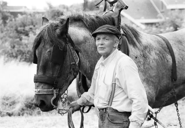 Passion For Art Trekpaarden TW14 - Foto - Ton van der Weerden - Fine Art Print op fotokwaliteit papier - 40 x 60 cm zwart-wit