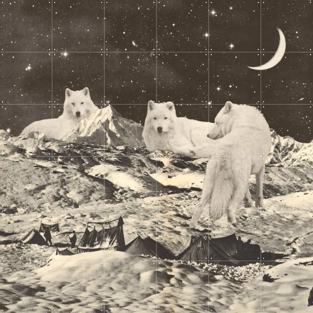 IXXI Giant White Wolves, Florent Bodart - 120 x 120 cm - Grote wanddecoratie en posters - Surrealisme, Collage, Vintage, Gemengde Technieken, Speels Wit / Zwart en wit