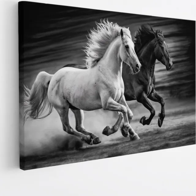 Saammp Canvas Schilderij - 2 paarden - Zwart - Wit- Dieren - Natuur - 40x30 - Foto op canvas - Wanddecoratie - muurdecoratie Woonkamer - Slaapkamer decoratie - Canvas Print Multicolor