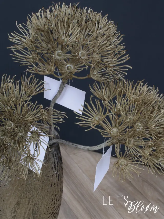 Let's Bloøm Kunstbloem | Dille | Berenklauw | 3 stuks | Kunsttak | Bruin| Schermbloem| Zijden bloem | Zijden tak