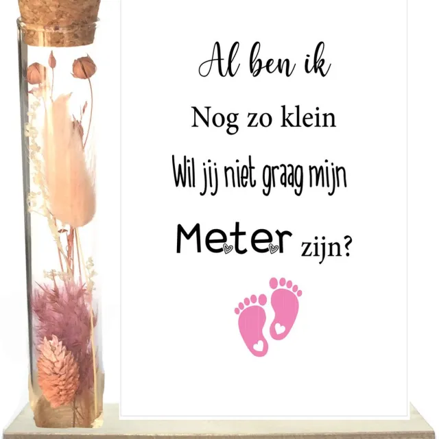 Stars 4 you Droogbloemen in buisje | METER | roze | al ben ik nog zo klein | meter vragen | meter worden