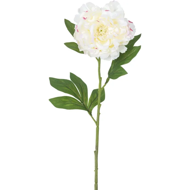 Easyplants Kunstbloem Pioen 77 cm wit | Zijde | Nepbloemen | wit | Onderhoudsvrij | Kant-en-klaar