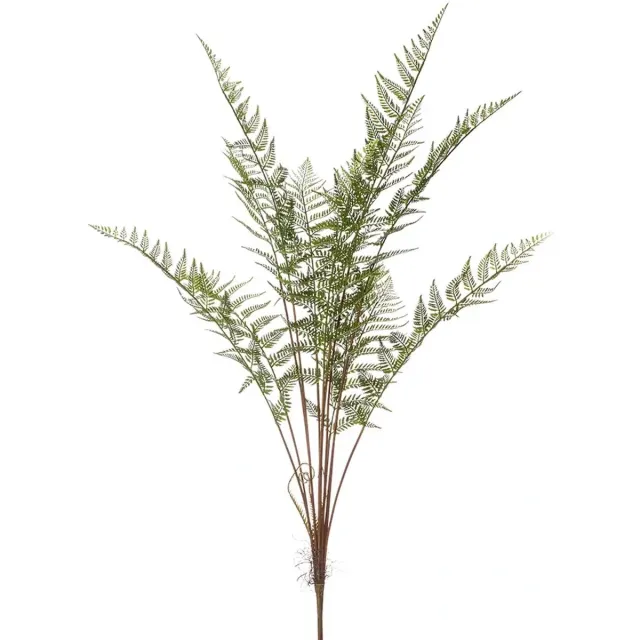 Emerald Kunst Forest Fern Bush - 125 cm onbekend