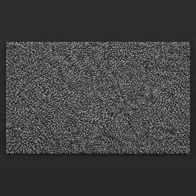 Dutch Standard Schoonloopmat 80 × 50 cm – Deurmat voor Binnen – Antraciet