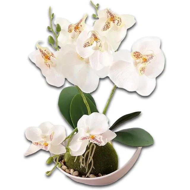 By Shane ByShane - Kunstmatige Bloemen Phalaenopsis en Orchidee - Kunststof - Met Pot - Thuis en Kantoor Decoratie - Bruiloft - Tafeldecoratie - Voor Thuis en Werk - Kunstbloemen - (75 characters) Any