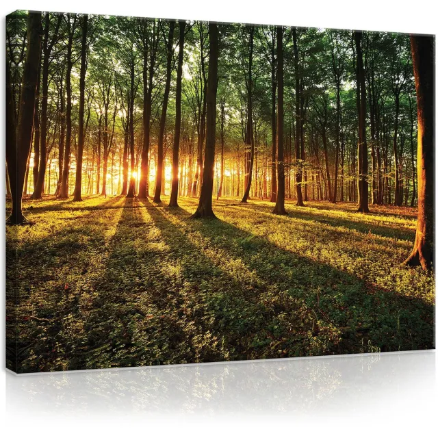 Canvas Schilderij Zonnig bos - Natuur - Bos - Bomen - Planten - Bloemen - Groen - Schilderij Woonkamer - Schilderijen op canvas - Inclusief Frame - 100x75cm (LxB) Diverse kleuren