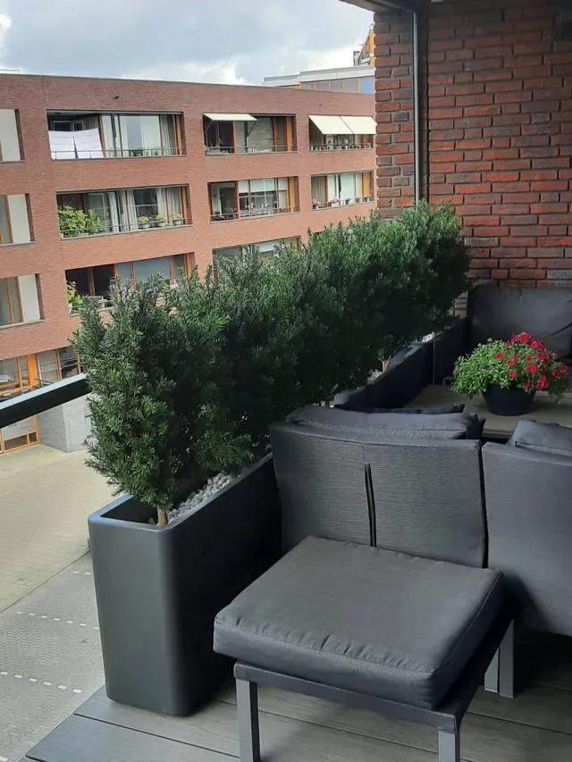 LeopoldFlora Kunststruik Taxus 90 cm UV Groen