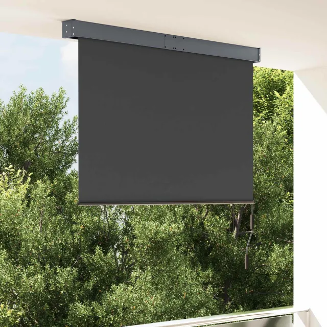 vidaXL Rolgordijn voor buiten 140x250 cm antraciet Anthraciet