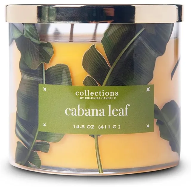 Colonial Candle Cabana Leaf Scented Jar Candle, Tropical Collection, 3 Wick geel