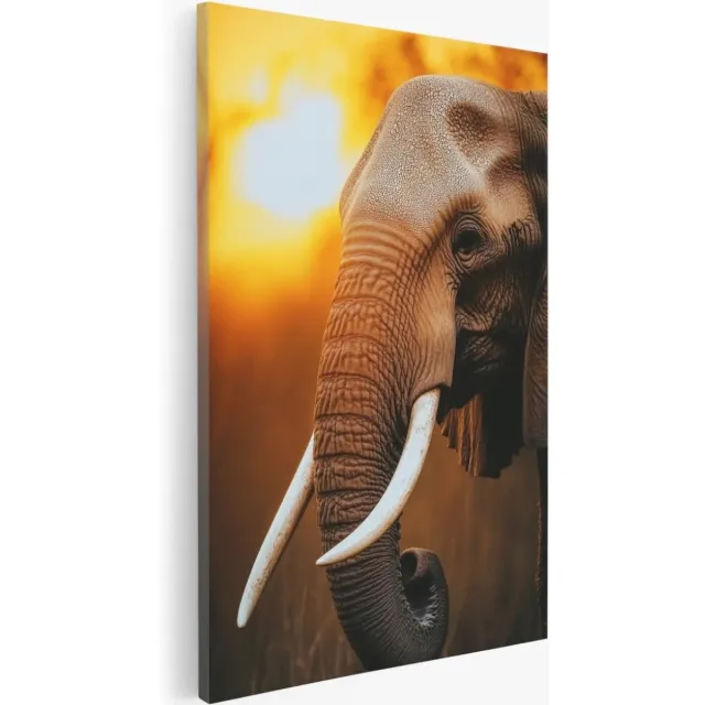 Saammp Canvas Schilderij - Olifant met zonsondergang - Dieren - Natuur - 30x45 - Foto op canvas - Wanddecoratie - Muurdecoratie Woonkamer - Slaapkamer decoratie - Canvas Print Multicolor