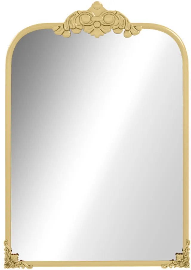 GOTAGEE Wandspiegel 60 x 87 cm badkamerspiegel in barokstijl met decoratieve metalen lijst voor woon- en slaapkamer in goud