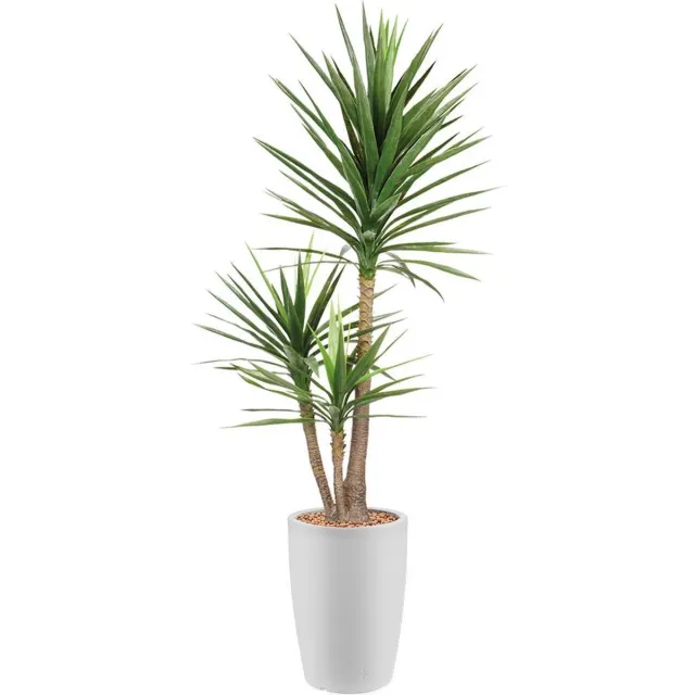 HTT Decorations Kunstplant Yucca in Genesis rond H200 cm Wit