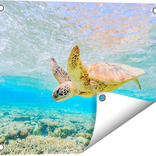 Gards Tuinposter Schildpad Zwemt in de Zee bij het Rif - 50x40 cm - Tuindoek - Tuindecoratie - Wanddecoratie buiten - Tuinschilderij Multikleur