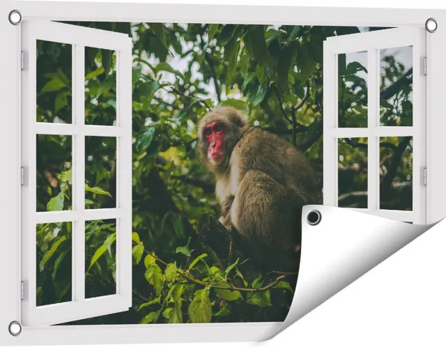 Gards Tuinposter Doorkijk Aap in de Boom tussen de Bladeren - 60x40 cm - Tuindoek - Tuindecoratie - Wanddecoratie buiten - Tuinschilderij Wit