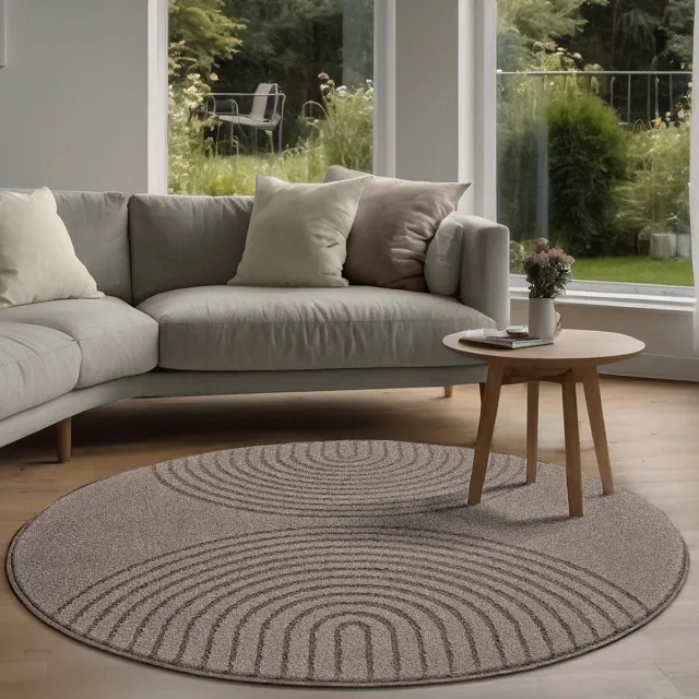 the carpet Elisa – zacht hoogpolig woonkamer vloerkleed, modern design tapijt met geometrisch patroon, bruin, 120 cm rond