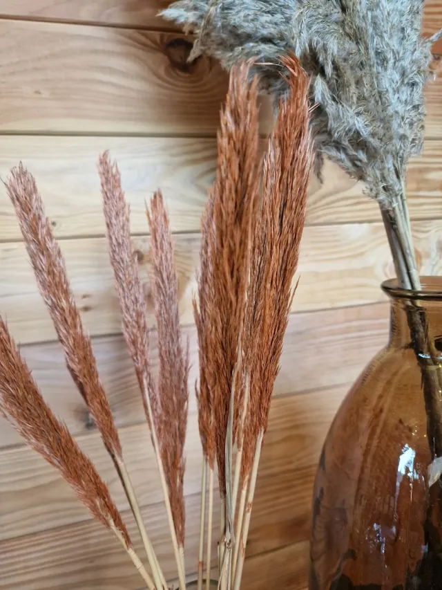 Wonders at Home Official Bundel Gedroogd Pampas Gras - Zalm - 75 cm - Pampasgras – Pampas Pluimen - Droog Boeket - Beige - Natural Koper