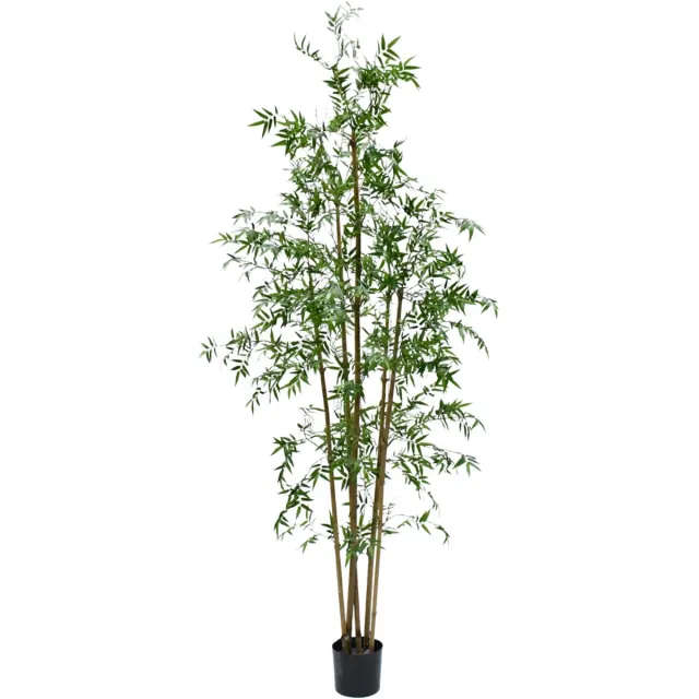 Silk-ka Kunstplant voor Binnen Bamboe Groen 245 cm