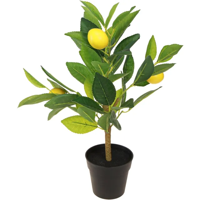 Everlands Decoratieve plant Everlands Plastic Citroenboom 17 x 24 x 43 cm Multicolor