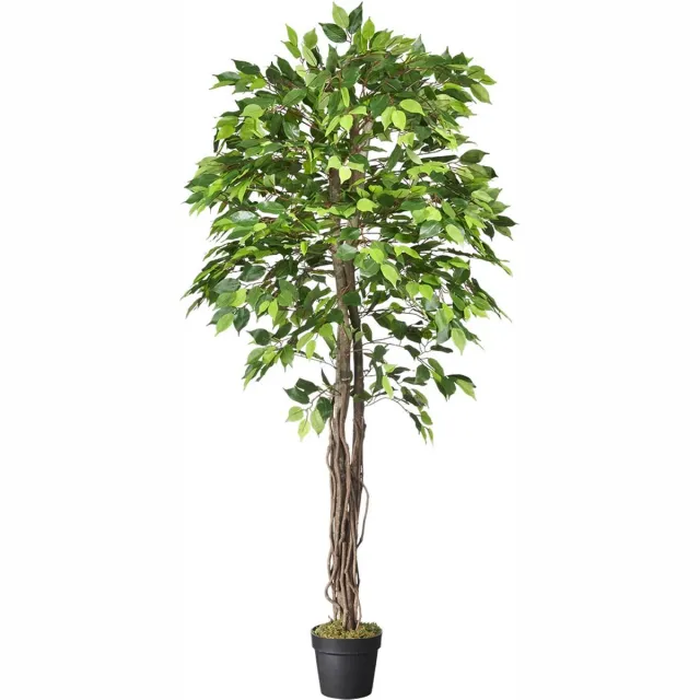 HTT Decorations Kunstplant Ficus groen H180 cm - HTT Decorations kunstplanten
