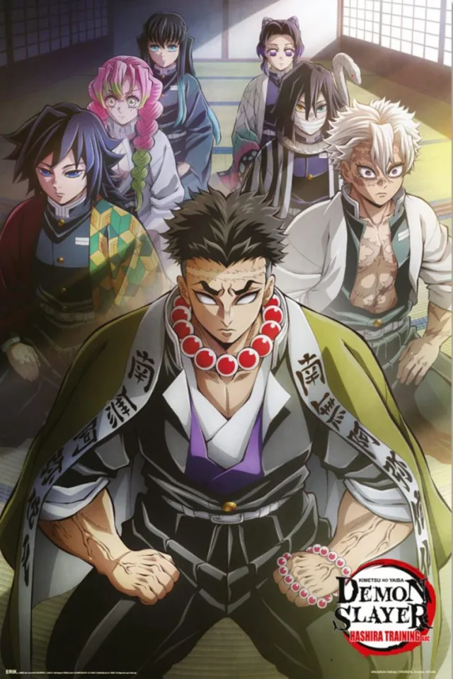 Grupo Erik Poster Demon Slayer - Hashira Training 1 61x91,5cm Divers