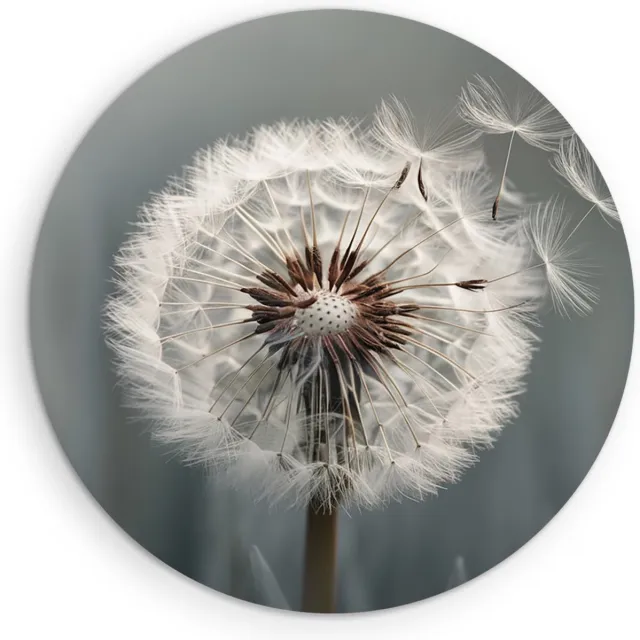 Saammp Forex Muurcirkel - Abstracte Paardenbloem in Wind - Natuur - Abstract - Ø 70 - Wandcirkel - Wanddecoratie Cirkel - Muurdecoratie Woonkamer - Kantoor Decoratie
