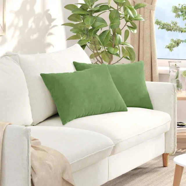 vidaXL Sofa Kussens 2 st fluweel Lichtgroen 60 x 40 cm