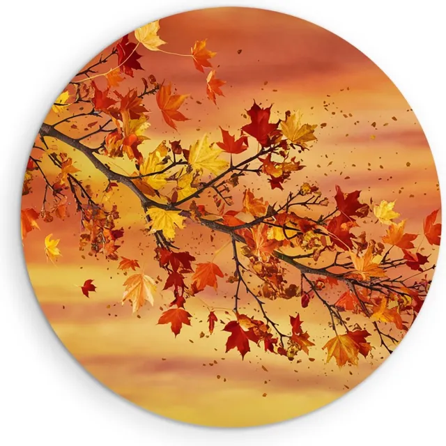 Saammp Forex Muurcirkel - herfst tak - Abstract - Ø 50 - Wandcirkel - Wanddecoratie Cirkel - Muurdecoratie Woonkamer - Slaapkamer decoratie - Rond Schilderij
