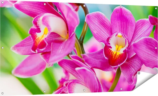 Gards Tuinposter Licht Paarse Orchidee Bloemen - 160x80 cm - Tuindoek - Tuindecoratie - Wanddecoratie buiten - Tuinschilderij Multikleur