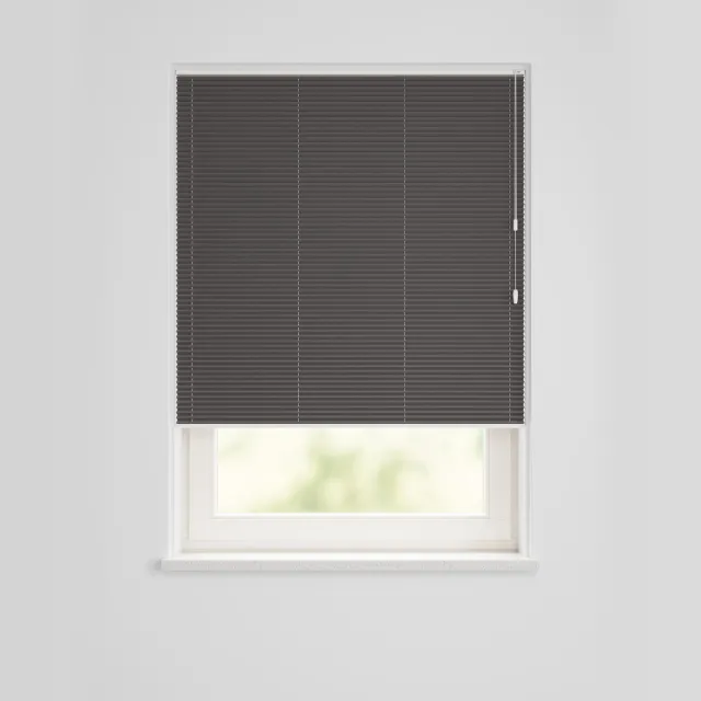 HEMA Plissé Dubbel Lichtdoorlatend-meekleurende Achterkant Zwart (zwart)