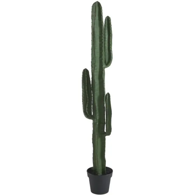 Vente-unique Kunstcactus - H 145 x B 26 x D 20 cm - Groen - GUADA