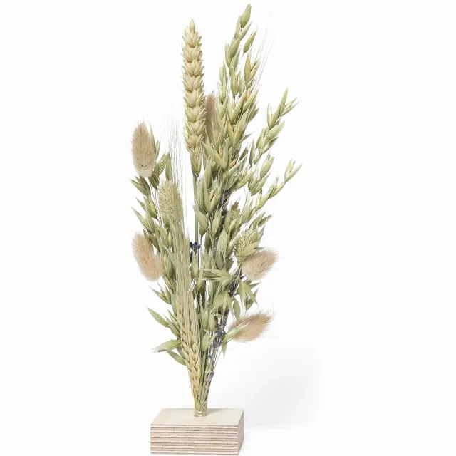 Lottea Droogbloemboeketje Sereniteit - droogbloemen, droogbloemen boeket, droogbloemen klein, cadeau voor vriendin, troost cadeau Natuurlijke tinten