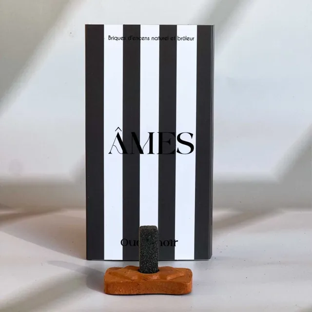 Ames Wierook Natuurlijk Oudh Noir - Wierook Blokjes Set van 15 met Terracotta Houder - Wierookblokjes Cadeau Kruidig Hout en Hars - Âmes