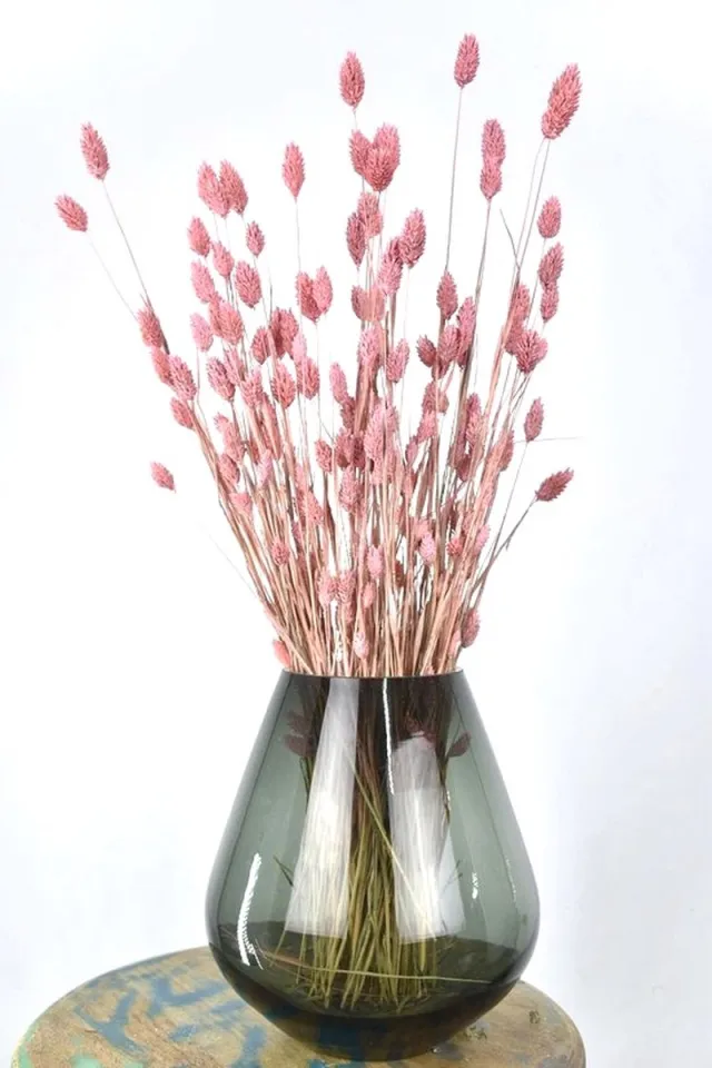 Natuurlijk Bloemen Droogbloemen - Droogbloemen boeket - Phalaris - Roze - 60 cm - Natuurlijk Bloemen