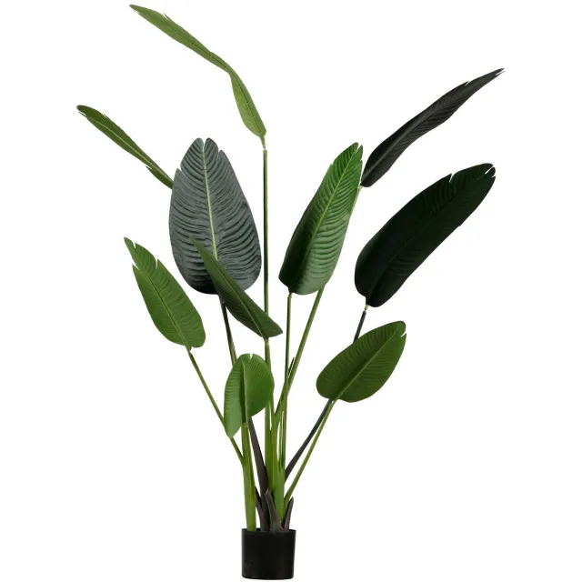 WOOOD Strelitzia Kunstplant - Groen - 96x164x63 green