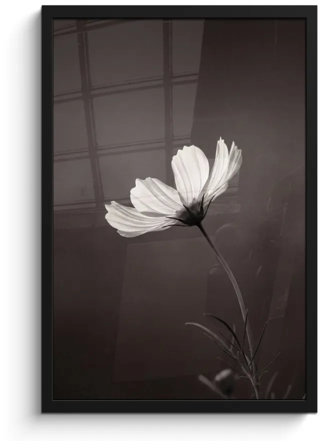 FrameYourWall Poster in lijst - Fotolijst 40x60 cm - Posters - Bloem - Minimalistisch - Zwart - Wit - Posterlijst zwart - Decoratie - Wanddecoratie woonkamer - Muurdecoratie slaapkamer