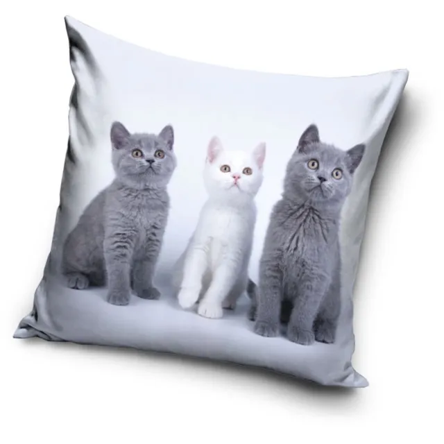 Cat Kat Trio decoratief kussenhoes 40x40 cm fluweel Grijs