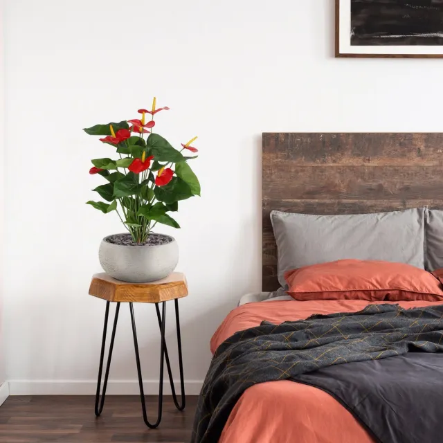 maxifleur Kunstplanten Anthurium kunstplant 60cm - rood