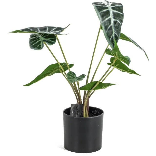 homebound by ky Alocasia kunstplant in pot Groen