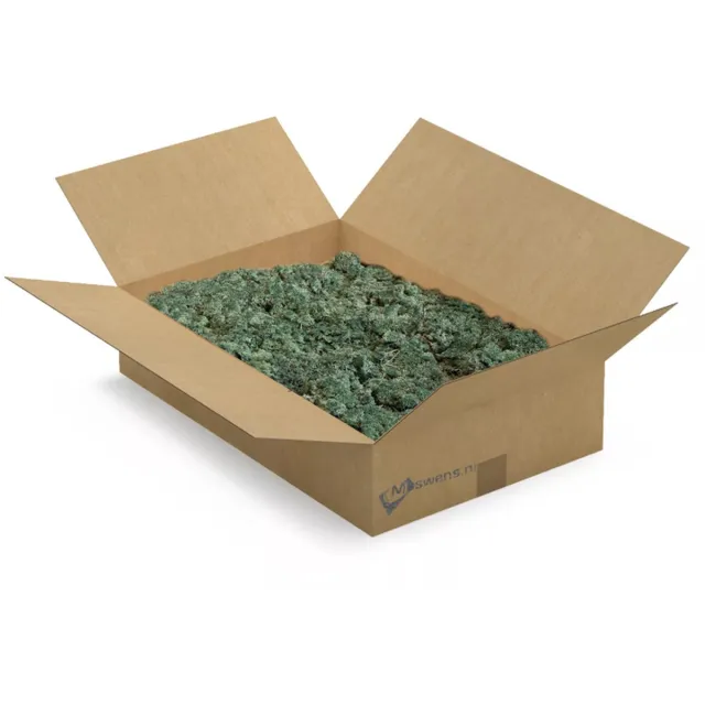Moswens decoratie mos - Rendiermos - 1,5 KG - Doos L - 0,20 m² - Pine - Ijslands mos voor moswand of mosschilderij Groen