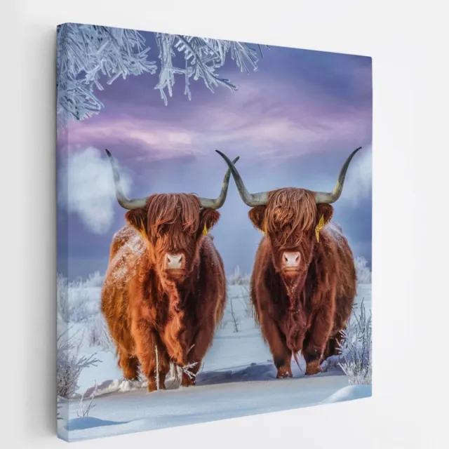 Saammp Canvas Schilderij Schotse Hooglander Koe in de mist - Dieren - Natuur - 100x100 - Foto op canvas - Wanddecoratie - muurdecoratie Woonkamer - Slaapkamer decoratie - Canvas Print Multicolor